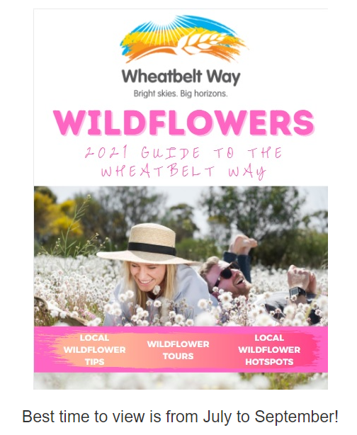 Wheatbelt Way Wildflowers