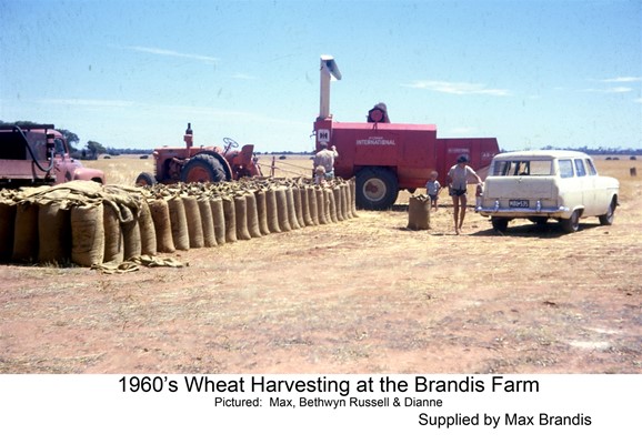 100 Years of Farming - 1960's