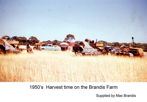 100 Years of Farming - 1950's